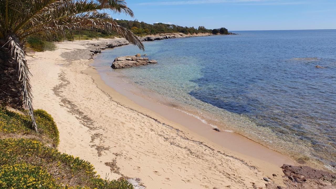 Agriturismo Corte Degli Ulivi Capoterra Esterno foto
