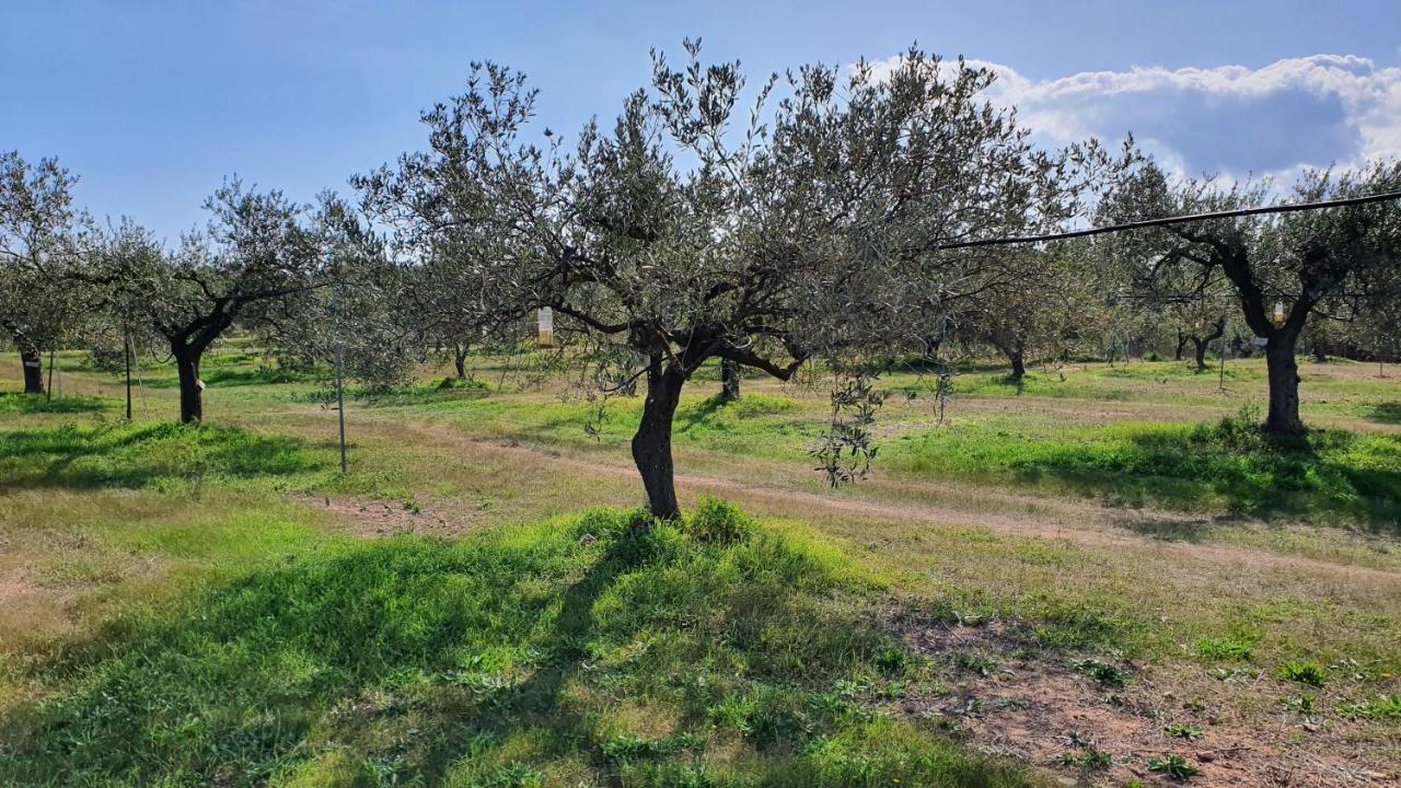 Agriturismo Corte Degli Ulivi Capoterra Esterno foto