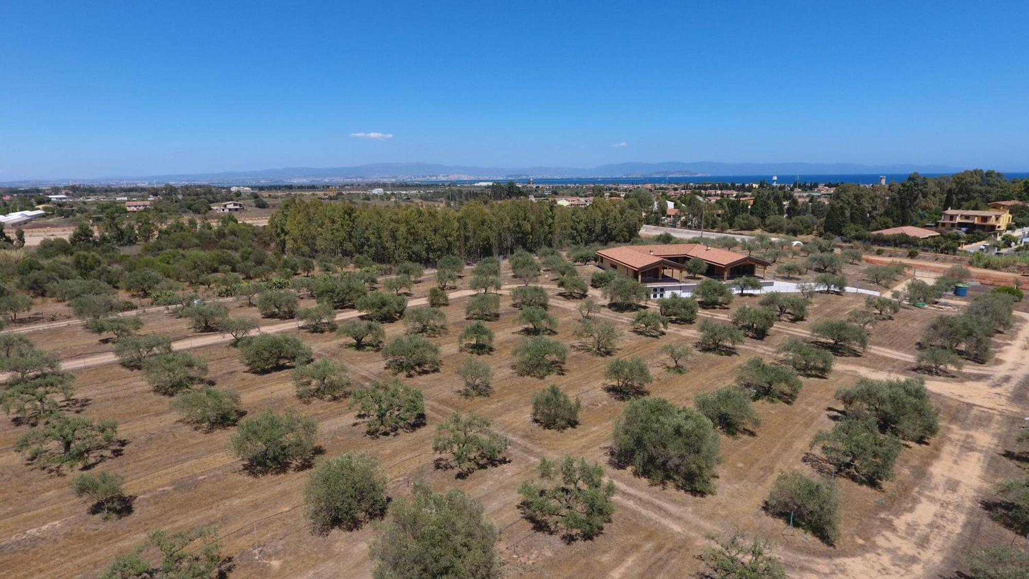 Agriturismo Corte Degli Ulivi Capoterra Esterno foto